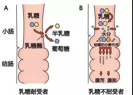 微信图片_20180926194630.jpg